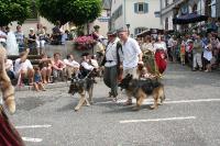 IMG_6352 (2) 